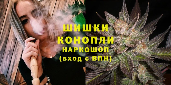 МДПВ Новодвинск