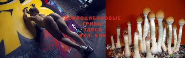 jwh Баксан