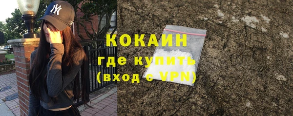 mdpv Новозыбков